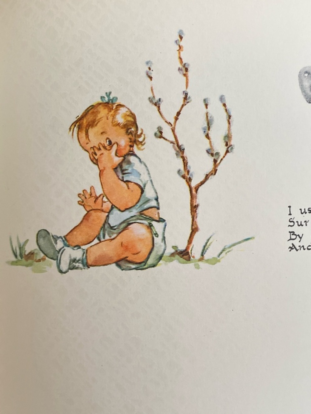'Wee Me' baby record book